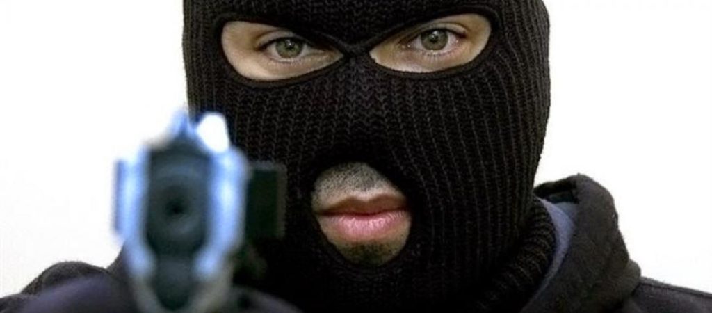 Διαρρήκτες εισέβαλαν σε σπίτι και πήραν μόνο… έξι μικρά κουτάβια (βίντεο)