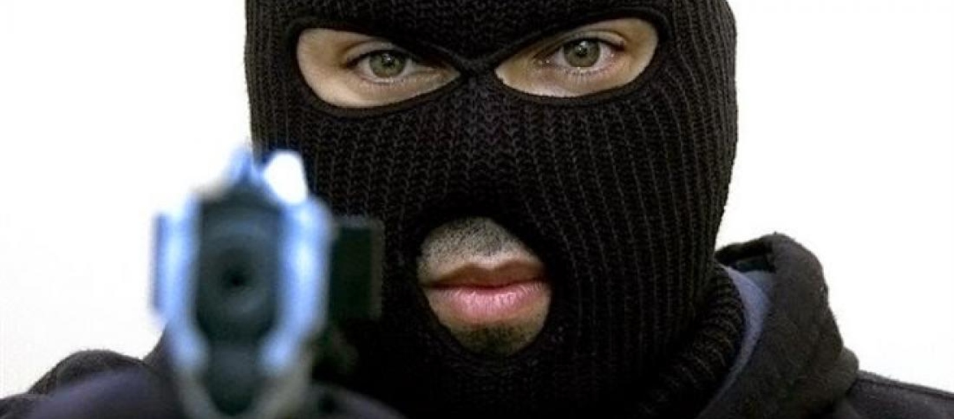 Διαρρήκτες εισέβαλαν σε σπίτι και πήραν μόνο… έξι μικρά κουτάβια (βίντεο)