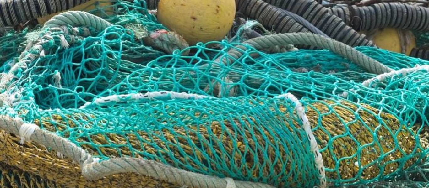 Κρήτη: Δεν πίστευε στα μάτια του ο ψαράς – Βρέθηκε στα δίχτυα του μωρό καρχαρίας (φώτο)