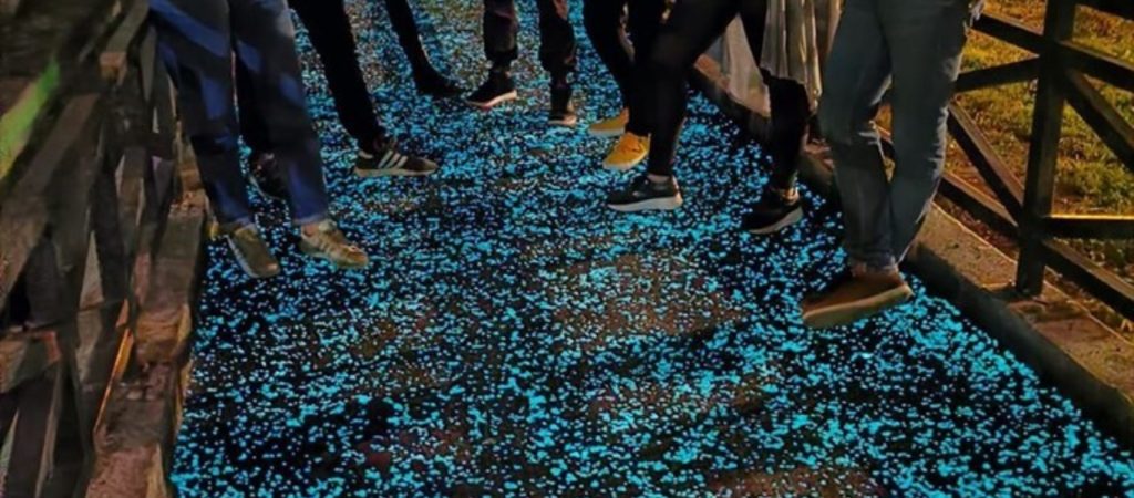 Λάρισα: Εντυπωσιάζει η αυτοφωτιζόμενη πεζογέφυρα που τοποθετήθηκε στο Αλκαζάρ (φώτο)