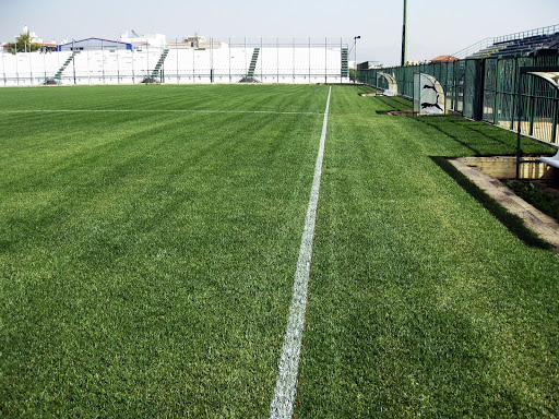 Δεν πάει ο νους σας: Αυτά είναι τα δέκα πιο απίθανα πράγματα που έχουν πετάξει οπαδοί μέσα στο γήπεδο