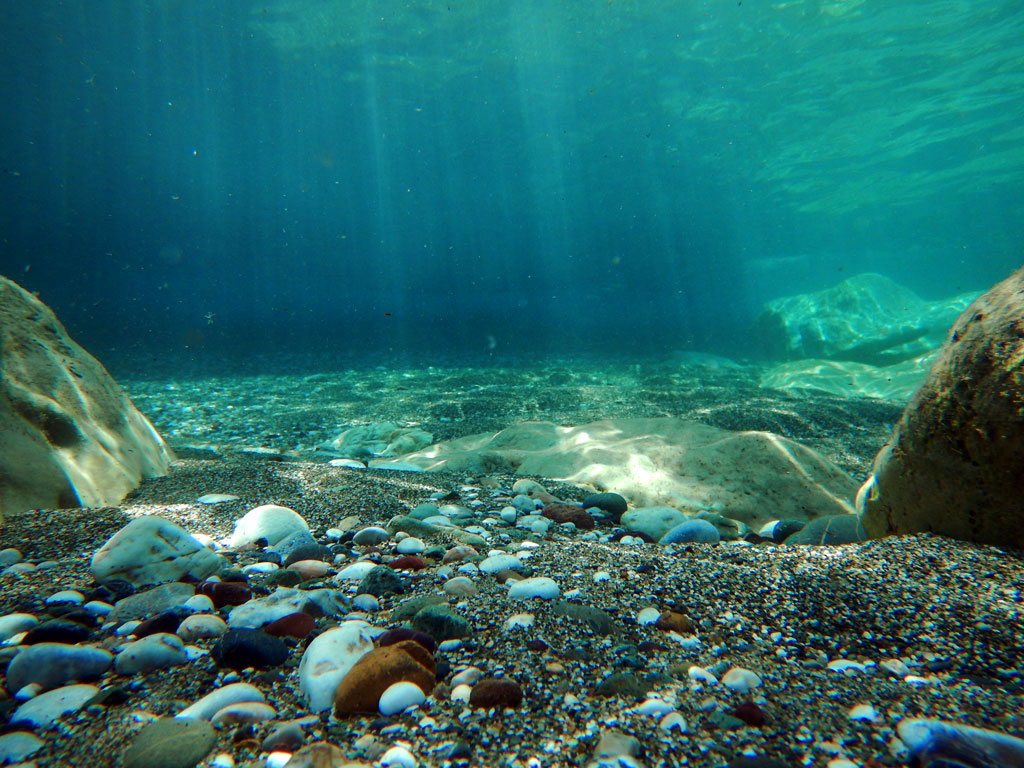 Ψαράς έβαλε κάμερα στο βυθό και κατέγραψε πως «χτυπάνε» οι τσιπούρες το αγαπημένο τους δόλωμα (βίντεο)