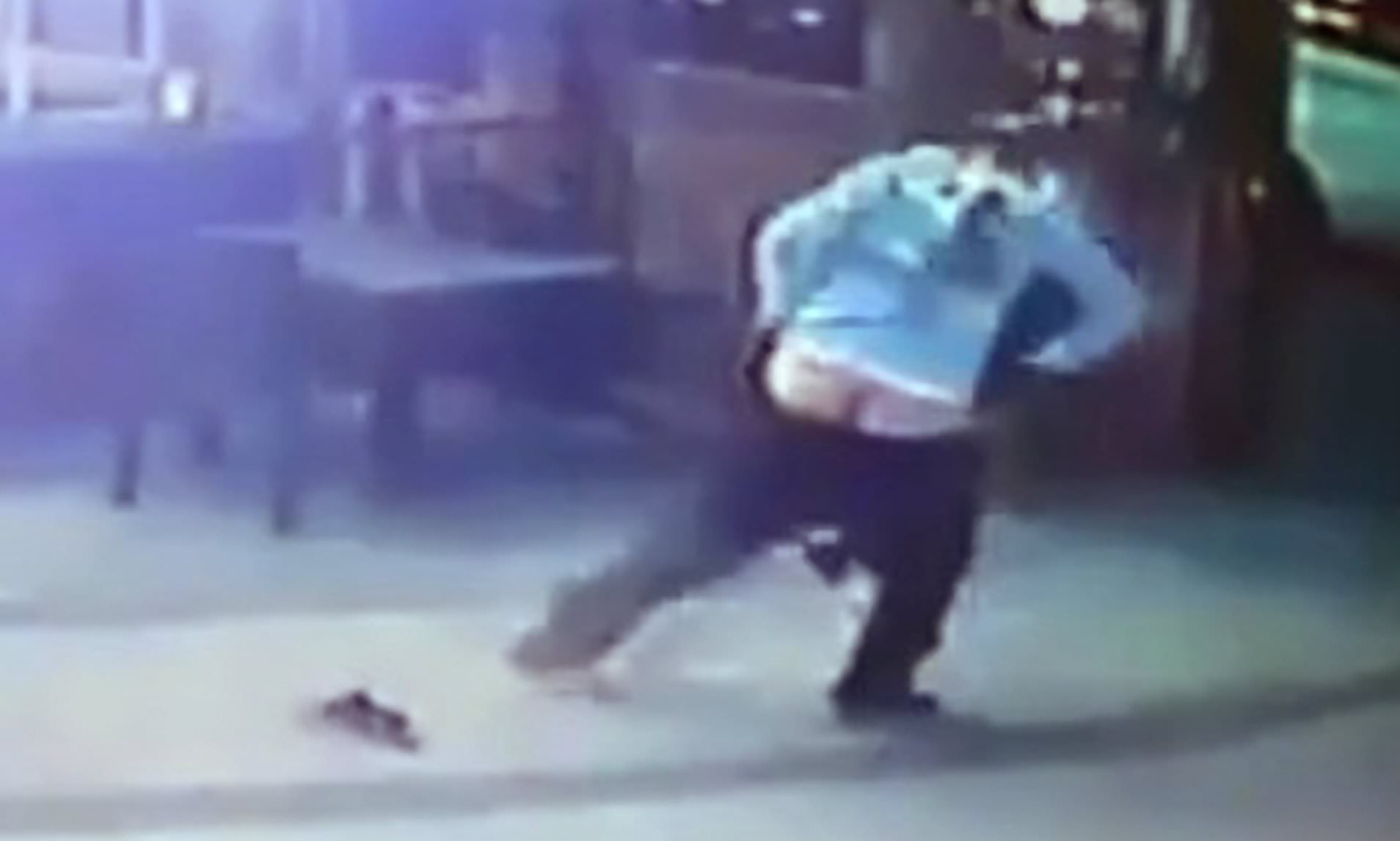 Μία γάτα έγδυσε έναν Τούρκο που είχε πάει τον σκύλο του βόλτα – Του κατέβασε τα παντελόνια (βίντεο)