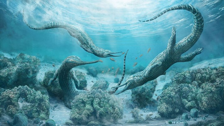 Τρομακτικό: Ανακαλύφθηκε αρχαίο θαλάσσιο ερπετό – Βγαλμένο από ταινία