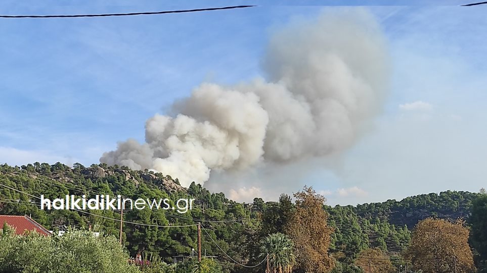 Χωρίς ενεργά μέτωπα η φωτιά σε πευκοδάσος στη Χαλκιδική