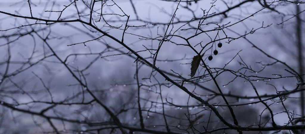 Το γνωρίζατε; – Να τι μας συμβαίνει επειδή μικραίνει η διάρκεια της ημέρας