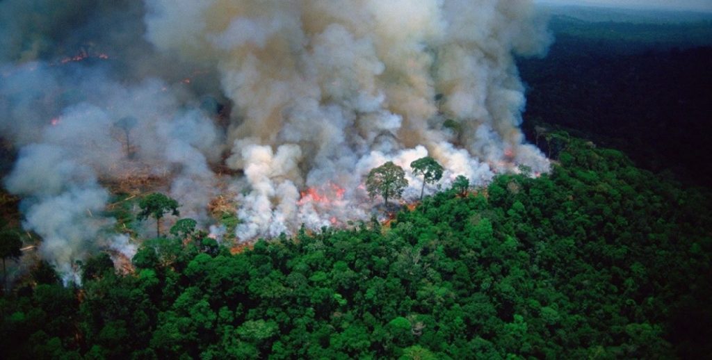 Βραζιλία: Υπερδιπλάσιος αριθμός πυρκαγιών καταγράφηκε στον Αμαζόνιο τον Οκτώβριο (βίντεο)