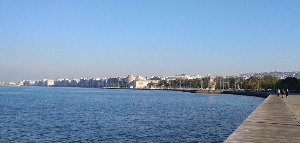 Θεσσαλονίκη: Ξέβρασε νεκρά πουλιά ο Θερμαϊκός (βίντεο)