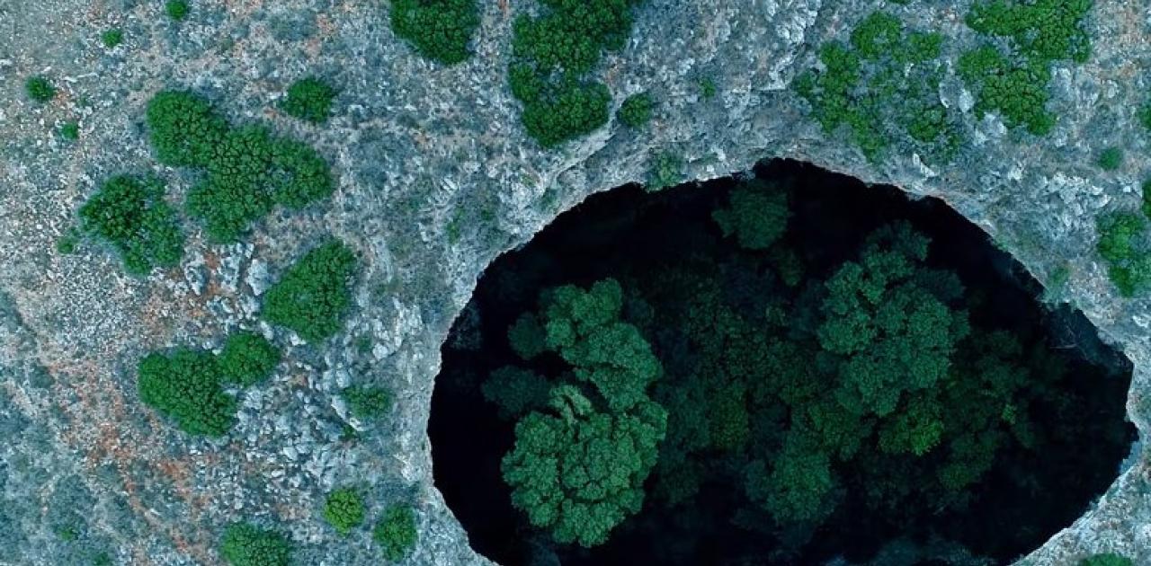 Έρημος Μάνης: Η απόκοσμη «Μαύρη Τρύπα» που κρύβει ένα μικρό δάσος στο εσωτερικό της (βίντεο)