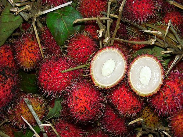 Αυτά είναι τα επτά πιο εξωτικά φρούτα του κόσμου