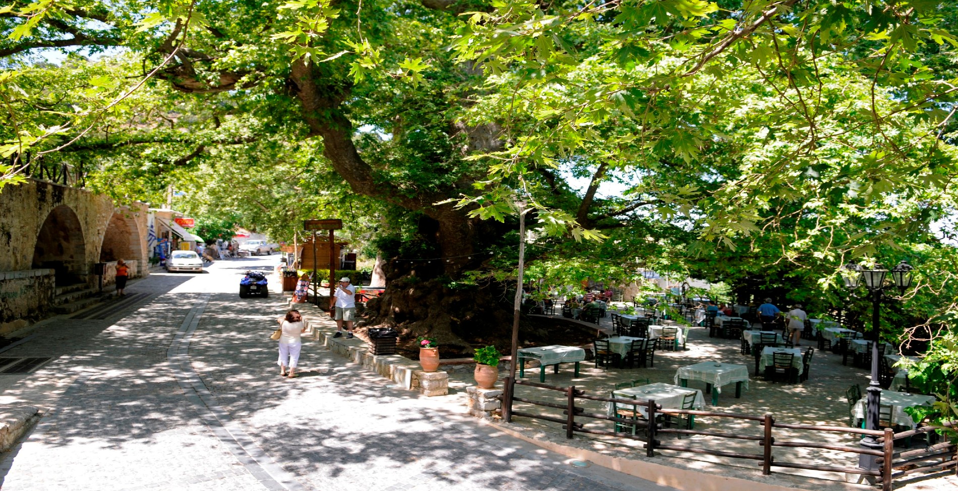 Κράσι: Το χωριό της Κρήτης με ένα από τα πέντε μεγαλύτερα δέντρα στην Ευρώπη (βίντεο)