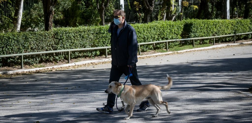 Νέα έρευνα: Όσοι βγάζουν βόλτα το σκύλο τους αυξάνουν κατά 78% τις πιθανότητες να κολλήσουν κορωνοϊό