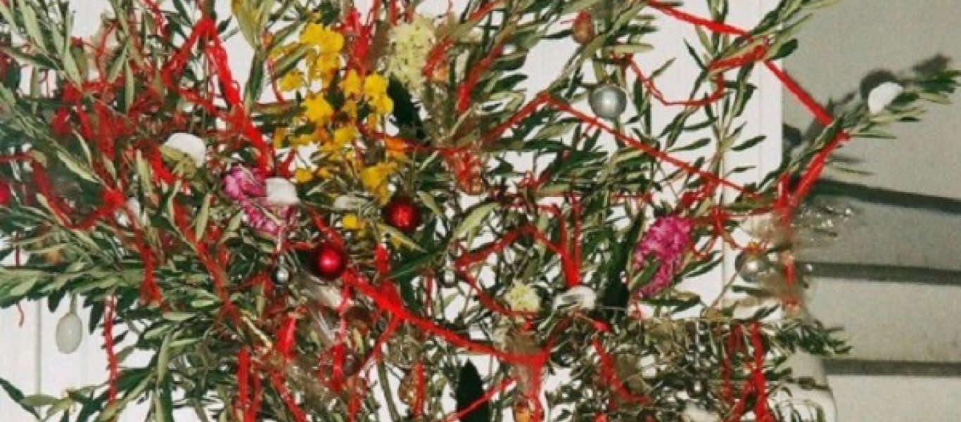 Το γνωρίζατε; – Να πως έλεγαν το «χριστουγεννιάτικο» δέντρο στην αρχαία Ελλάδα