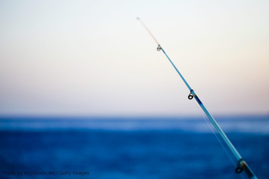 Δόλωσαν ολόκληρο κοτόπουλο  σε τεράστιο αγκίστρι και έμειναν «άφωνοι» με αυτό που έπιασαν (βίντεο)