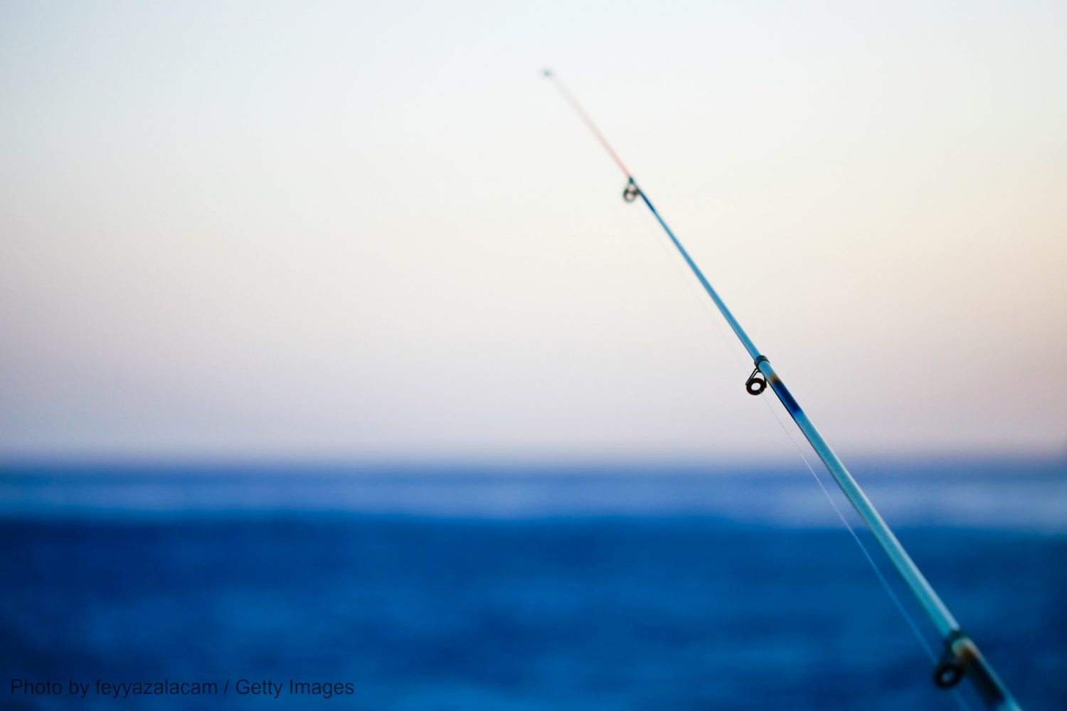 Δόλωσαν ολόκληρο κοτόπουλο σε τεράστιο αγκίστρι και έμειναν «άφωνοι» με αυτό που έπιασαν (βίντεο)