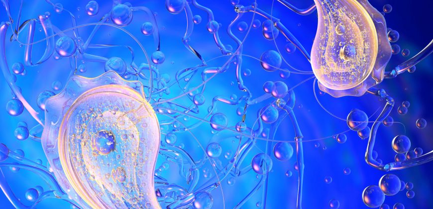 Τριχομονάδες: Αίτια, συμπτώματα και θεραπεία