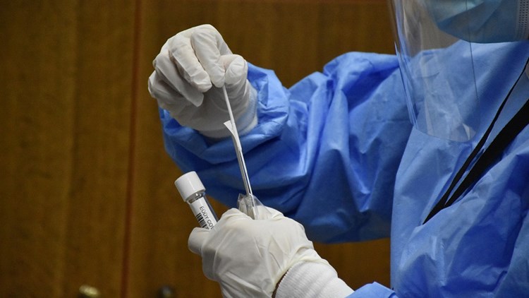 Αλβανοί εργάτες γης βρέθηκαν θετικοί στα rapid test ενώ είχαν…  «αρνητικά τεστ» κορωνοϊού