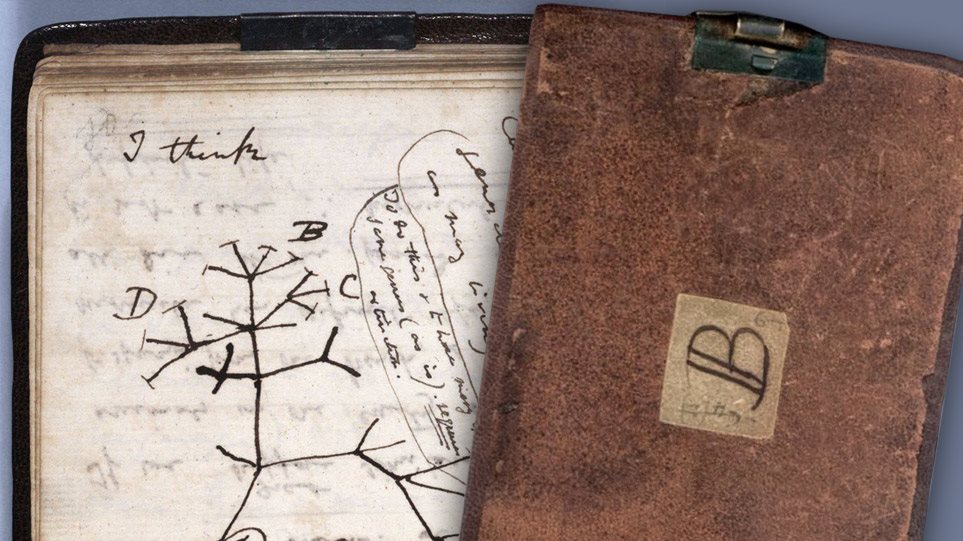 Στο Πανεπιστήμιο του Κέιμπριτζ δήλωσε κλοπή για τα σημειωματάρια του Δαρβίνου – Νόμιζαν ότι τα είχαν στο αρχείο!