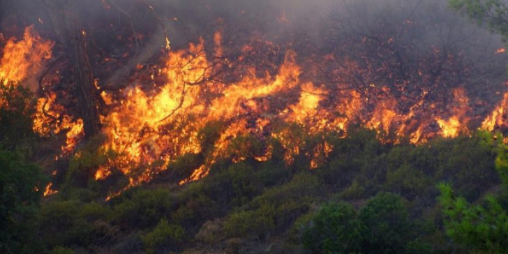 Σε εξέλιξη μεγάλη φωτιά στην Βόρεια Κυνουρία Αρκαδίας
