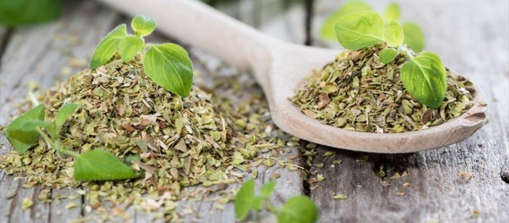 Αυτή είναι η αντικαρκινική δράση της ρίγανης – Αναλυτικά οι ιδιότητές της