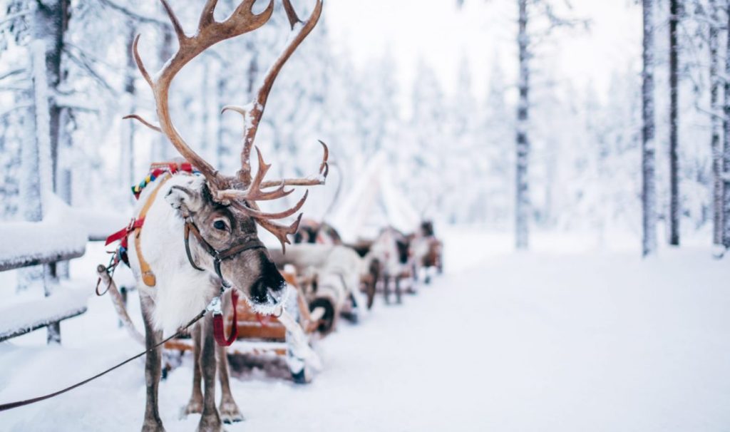 Φινλανδία: Tα πιο εντυπωσιακά χιονισμένα τοπία της Ευρώπης (φωτό)