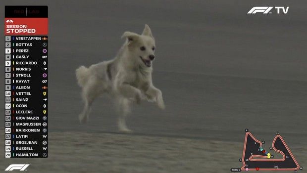 Formula 1: Σκύλος μπούκαρε στην πίστα και σταμάτησε τον αγώνα (βίντεο)