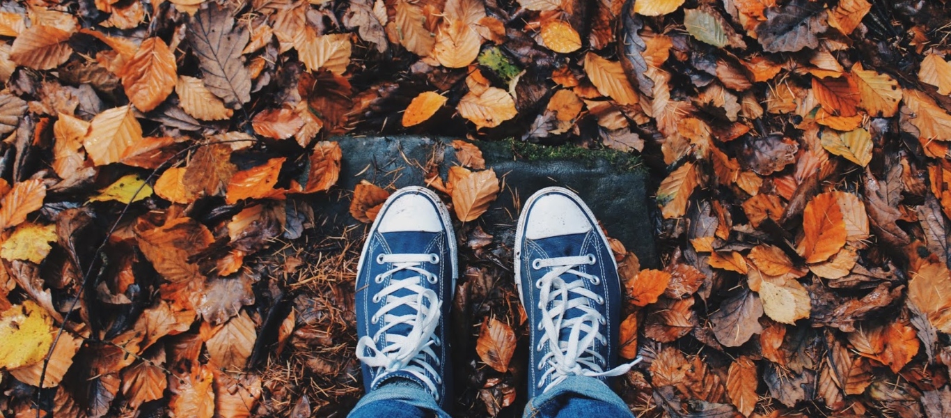 Έρευνα αναφέρει ότι η κλιματική αλλαγή είναι η αιτία που πέφτουν τα φύλλα των δέντρων νωρίτερα