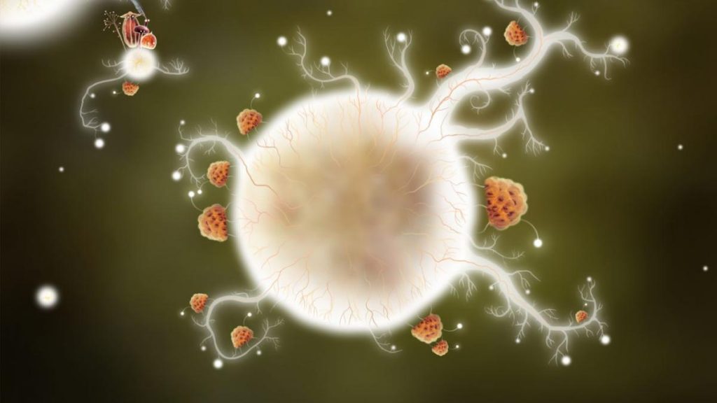 «Νόσος του φιλιού»: Αυτά είναι τα συμπτώματα της λοιμώδους μονοπυρήνωσης