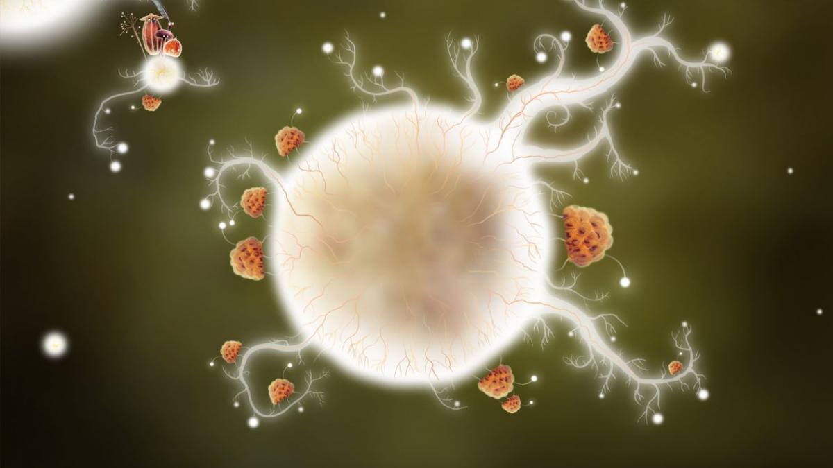 «Νόσος του φιλιού»: Αυτά είναι τα συμπτώματα της λοιμώδους μονοπυρήνωσης