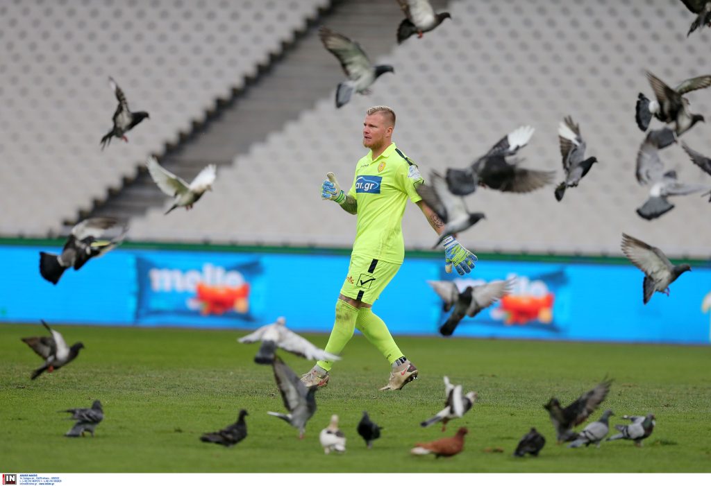 Παναθηναϊκός-Παναιτωλικός: Περιστέρια έκαναν… κατάληψη στον αγωνιστικό χώρο του ΟΑΚΑ (φώτο)