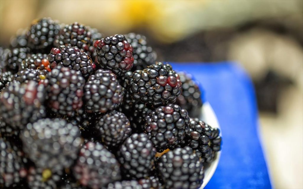 Βατόμουρα: Η διατροφική αξία τους και τα οφέλη