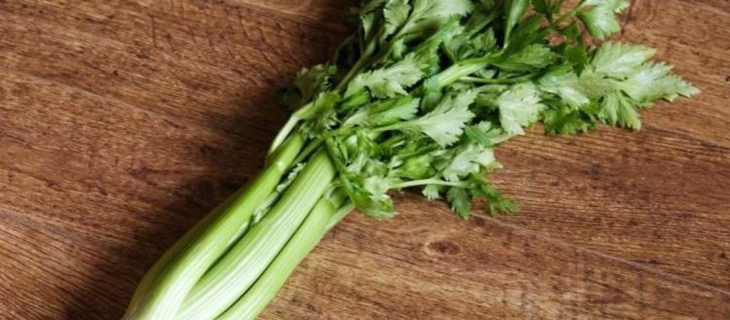 Σέλινο: Τα οφέλη που έχει για τον οργανισμό μας