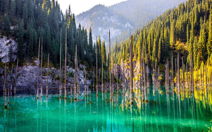 Το απόκοσμο υποβρύχιο δάσος από έλατα μέσα σε λίμνη (βίντεο)