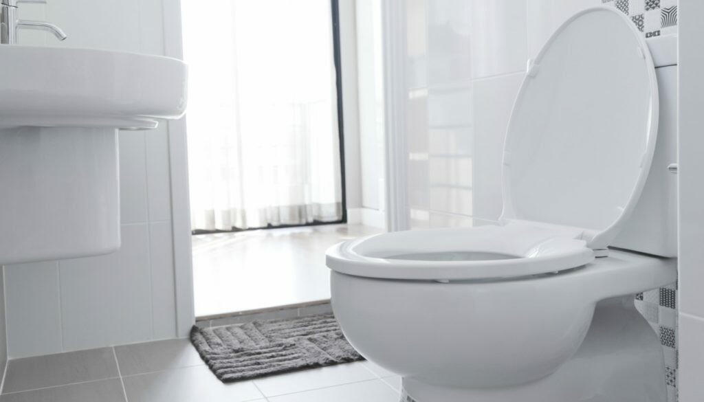 Σκωτία: Ο απίστευτος νόμος περί χρήσης της τουαλέτας του σπιτιού από περαστικούς