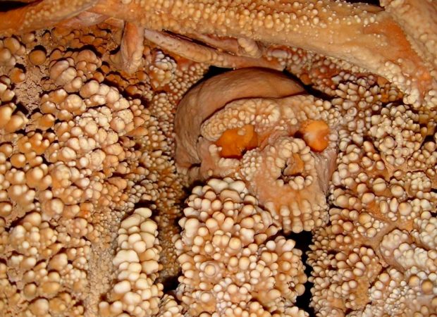 Τo παλαιότερo Νεάντερταλ DNA βρέθηκe σε σκελετό στην Ιταλία!