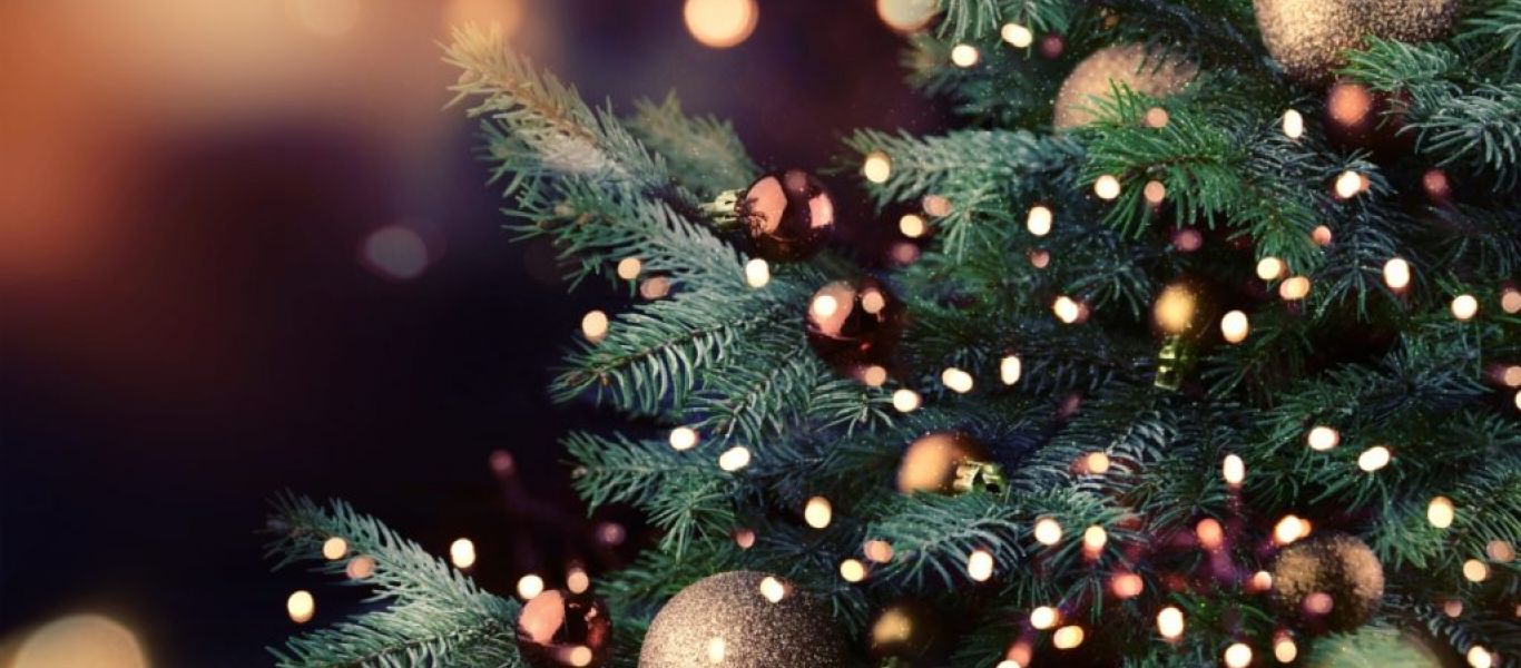 Χριστουγεννιάτικα δέντρα: Πού κυμαίνονται φέτος οι τιμές;