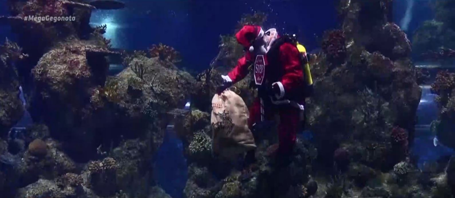 Μάλτα: Ο Άγιος Βασίλης πήγε δώρα σε… ψάρια (βίντεο)