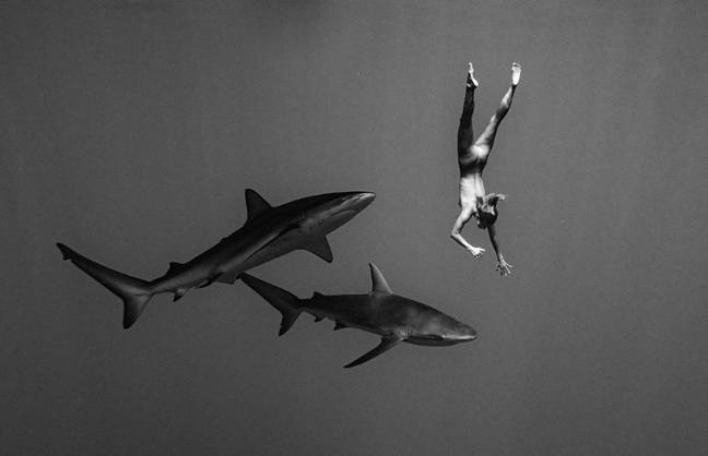 Μαρίζα Πάπεν: Το μοντέλο κολύμπησε ολόγυμνη ανάμεσα σε καρχαρίες στη Χαβάη (φωτό)