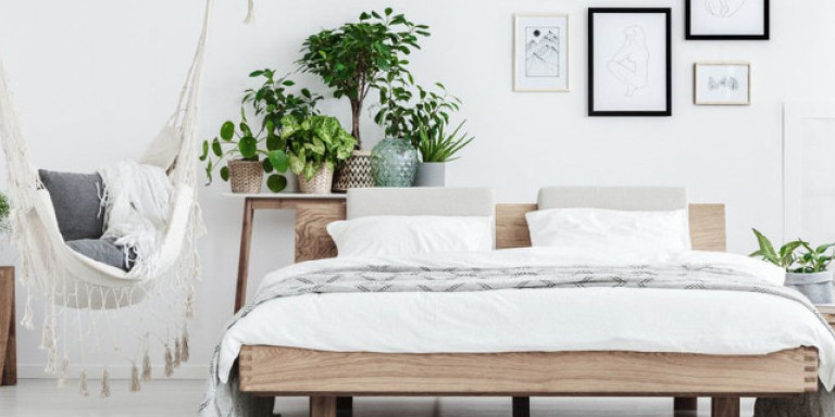 Aυτά είναι τα φυτά που υπόσχονται ένα βαθύ και ξεκούραστο ύπνο