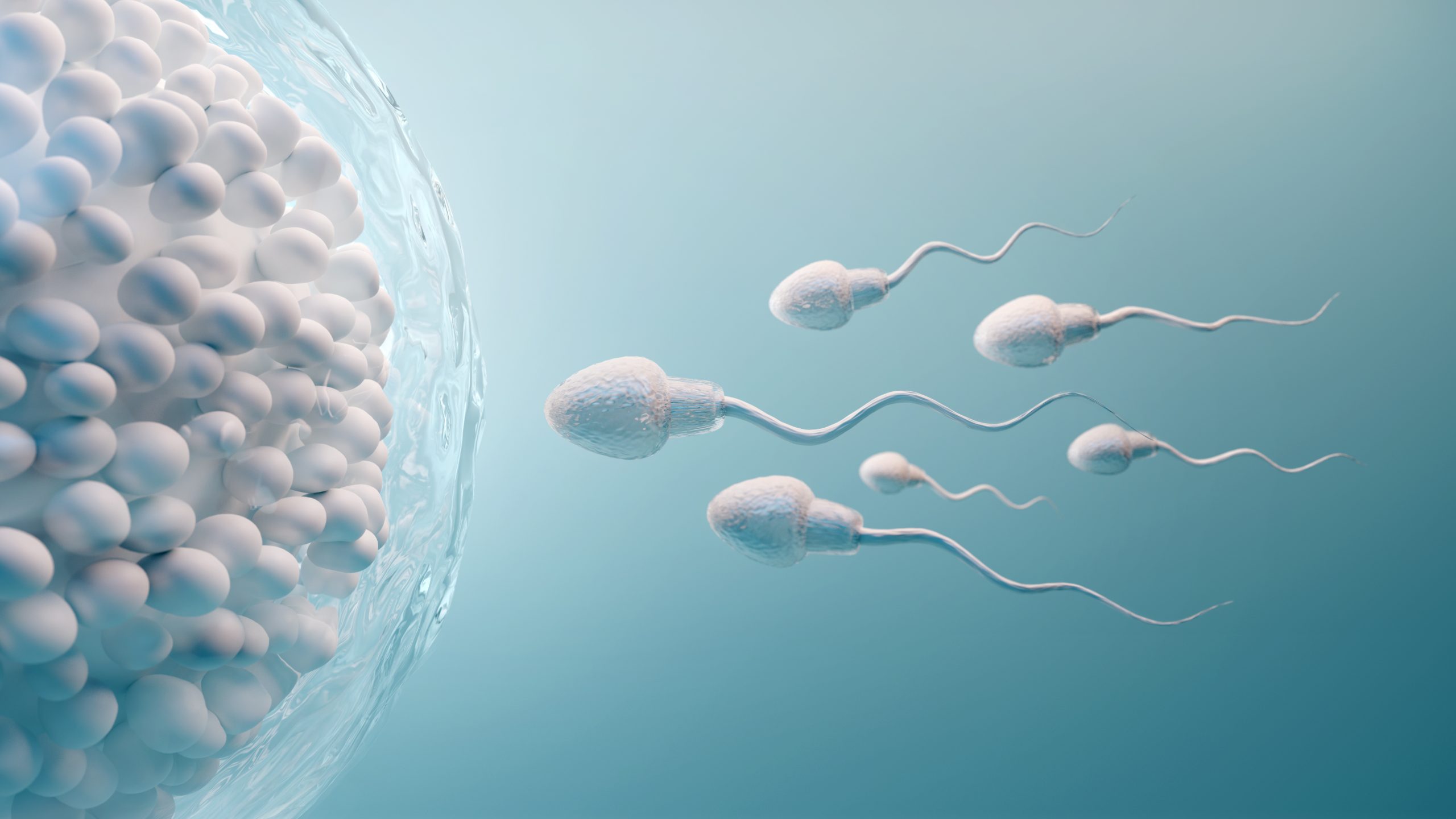 Ανδρική υπογονιμότητα: 3+2 πράγματα που μπορεί να «σκοτώσουν» το σπέρμα