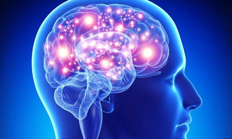 Αυτές είναι οι 10 τροφές για να ενισχύσετε την μνήμη σας