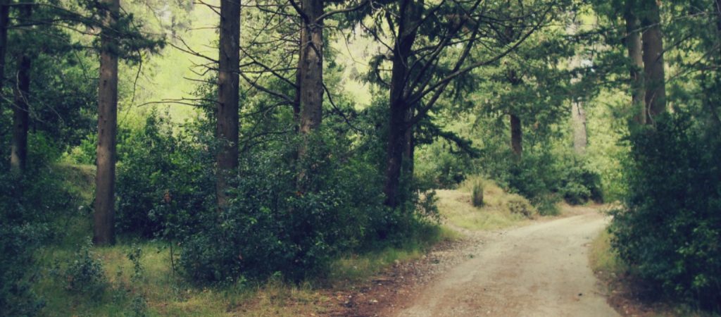 Μήνυμα στο 13033: Στον δρόμο που χάραξε ο Κ.Μητσοτάκης – Ευκαιρία για… σωματική άθληση στην Πάρνηθα