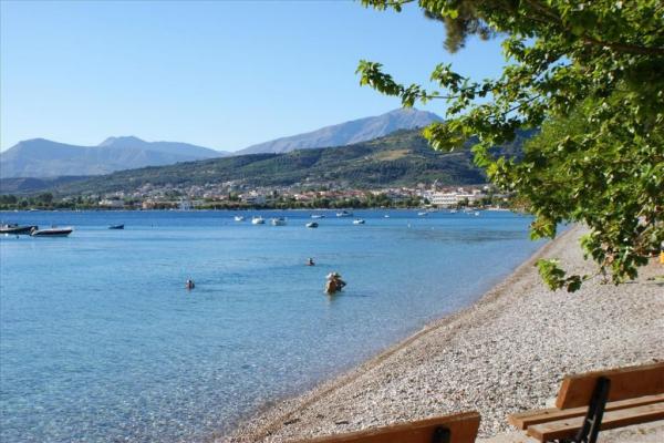 Αχαΐα: Παράξενο ψάρι μήκους 2,5 μέτρων ξεβράστηκε στην παραλία του Λόγγου – «Άφωνοι» οι κάτοικοι (φωτο)