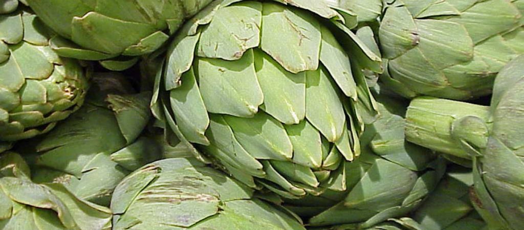 Αγκινάρα: Ένα πολύτιμο φάρμακο για μαλλιά και σώμα