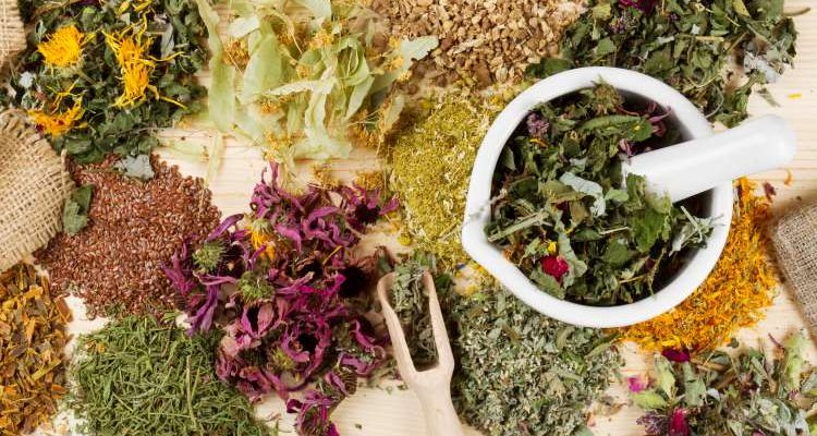 Το βότανο με τα πολλαπλά οφέλη: Ανακουφίζει το πεπτικό και ρυθμίζει το σάκχαρο