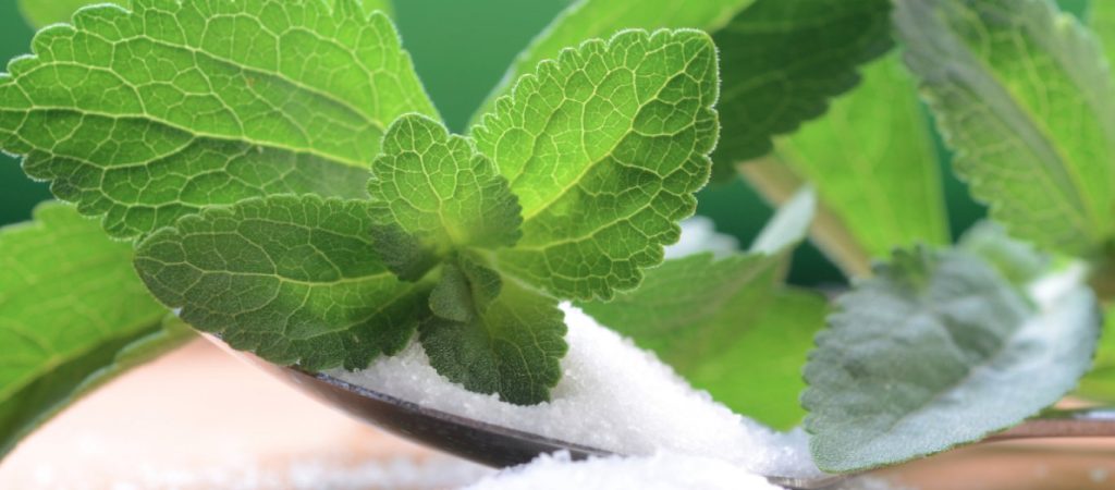 Στέβια: Όλες οι παρενέργειες που μπορεί να προκαλέσει