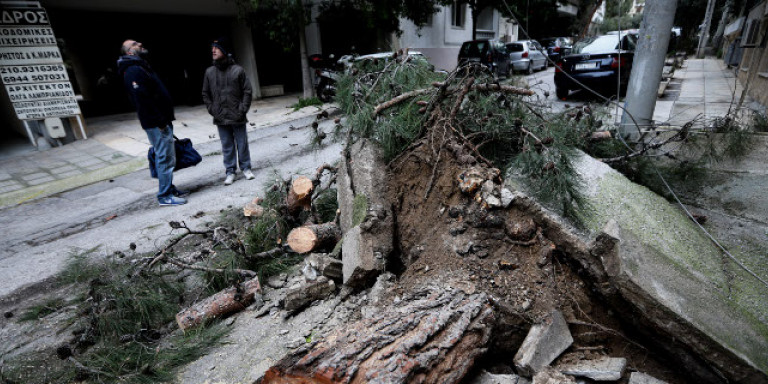 Προβλήματα από την κακοκαιρία στην Αττική: Πτώσεις δέντρων στη Νέα Σμύρνη – Καταπλακώθηκε αυτοκίνητο
