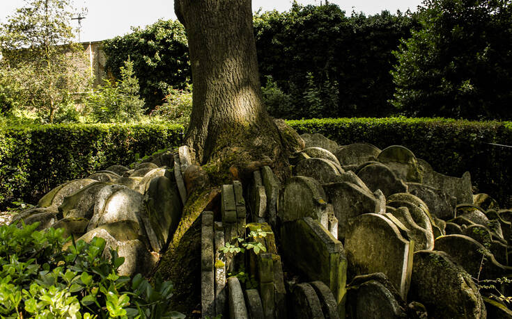 To δέντρο με τις ταφόπλακες στις ρίζες του που όλοι τρέχουν να φωτογραφηθούν μαζί του (φωτο)