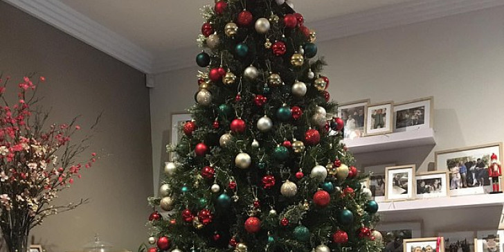 Πώς ξεκίνησε το έθιμο να στολίζουμε τα δέντρα τα Χριστούγεννα;