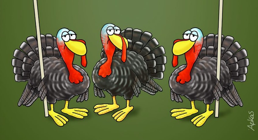 Αρκάς : Η γαλοπούλα δεν… χαίρεται για τα Χριστούγεννα και μιλά για χοιρινό